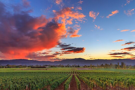 Tour image 5